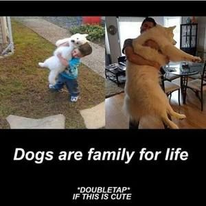 Meet your Posher, Edwinz